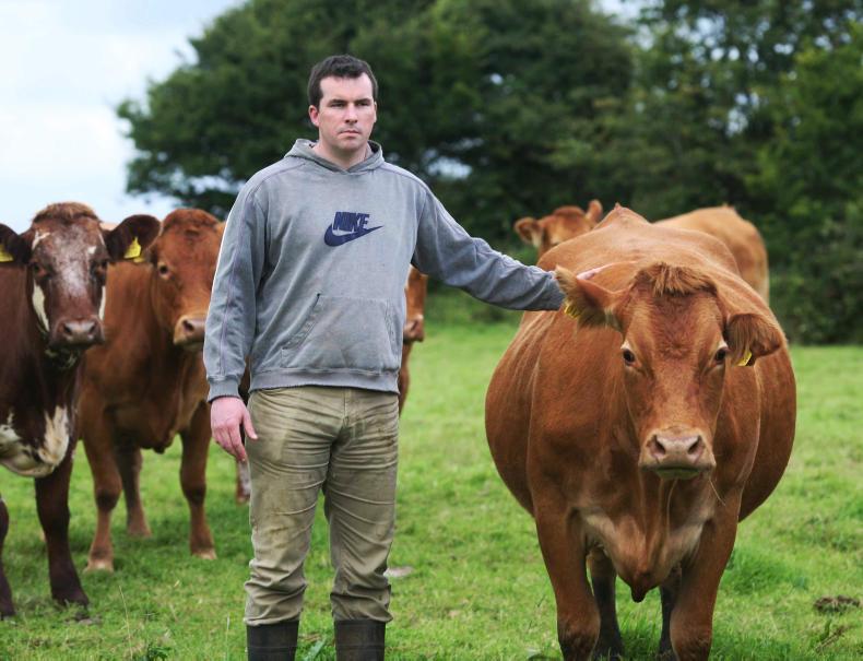 Farmer Writes: almost fully calved and looking at housing