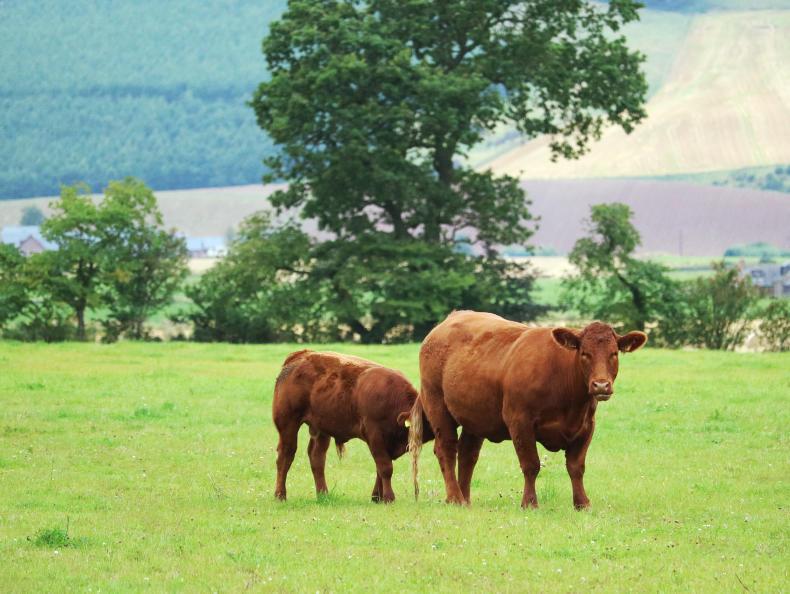 Farm Profit Programme: storage shortage as barley and oats ripen close together