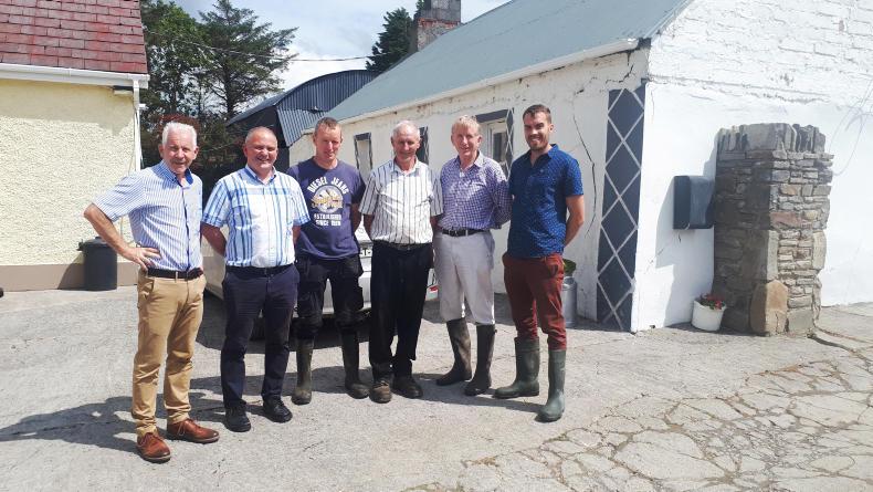 Quality Milk Awards: North Cork Co-op supplier near Listowel