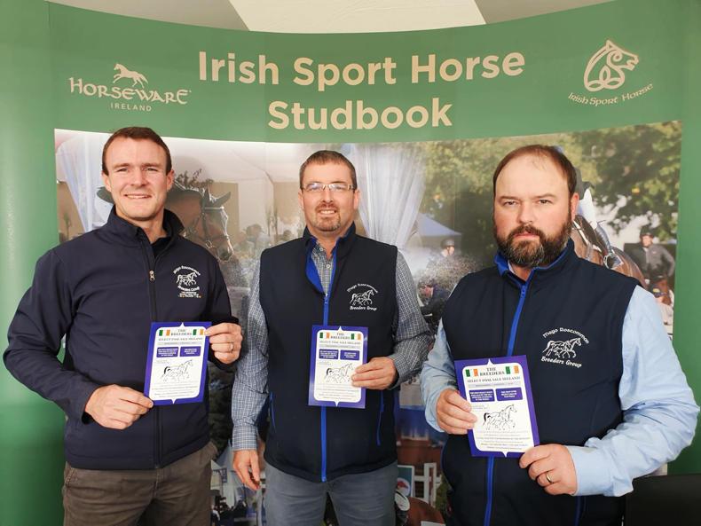 Over 50 horses on offer at Mayo Roscommon Breeders' Group sale