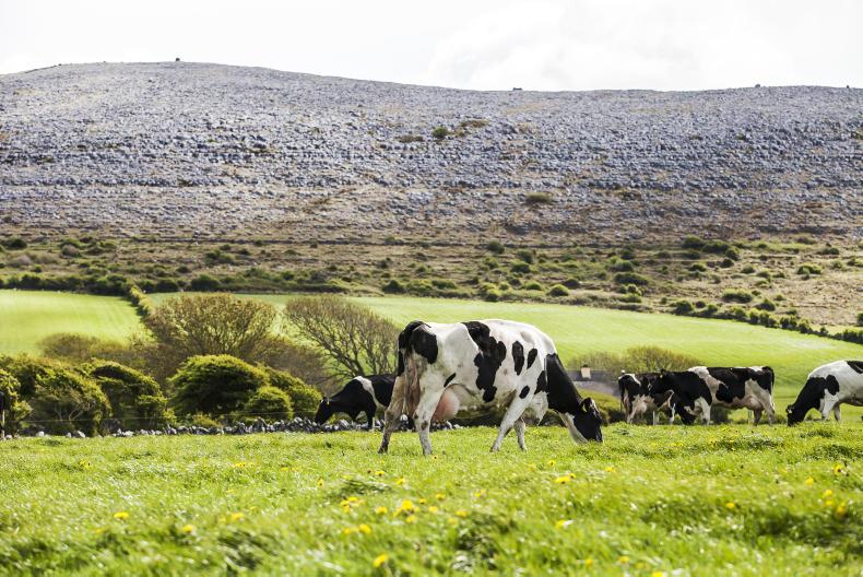 Farm Finance: has biodiversity taken a backseat?    