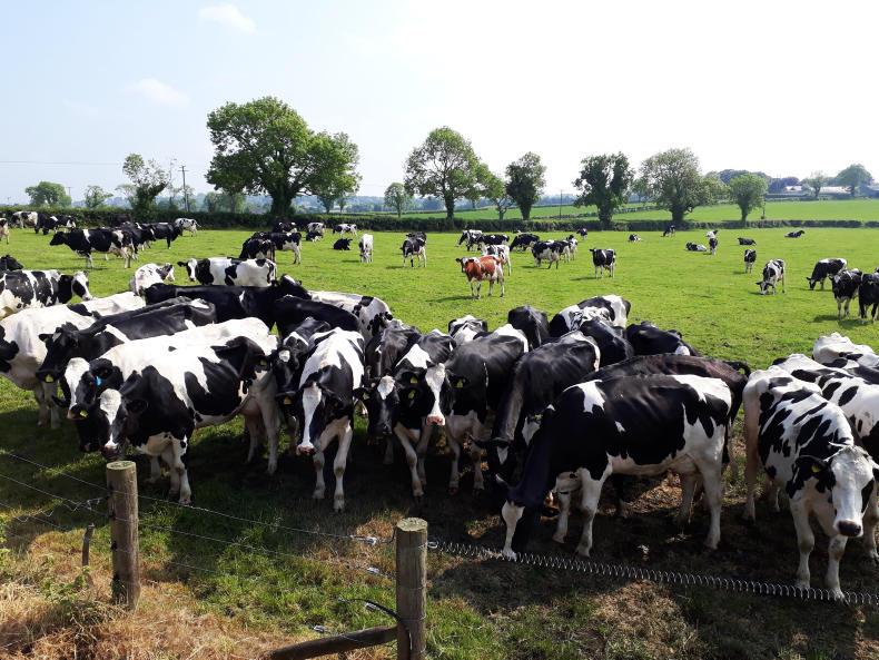 Agri jobs: part-time and full-time dairy and pig workers required