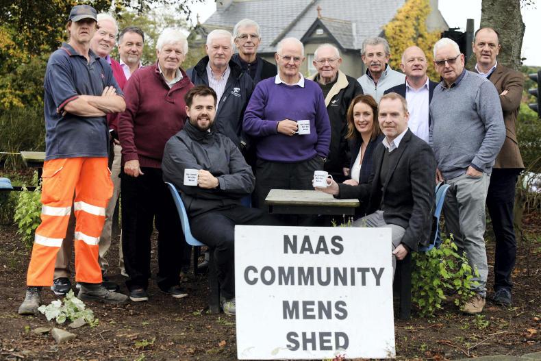 Men's Sheds: straight from the horse’s mouth