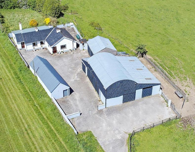 Compact residential farm in Westmeath up for auction Premium