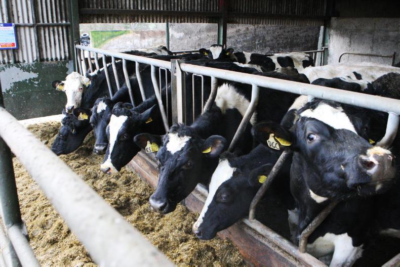 Dairy management giving cows the required dry period 11 November