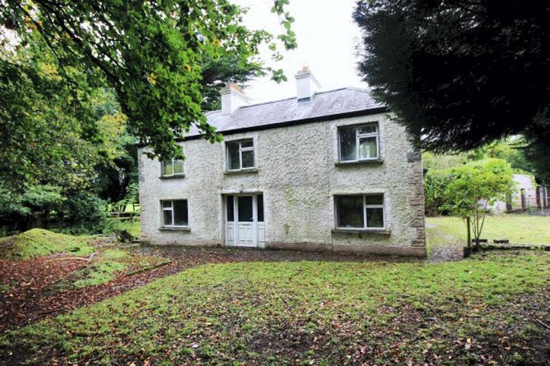 Smaller lots sell well at auction in Navan 20 November 2019 Premium