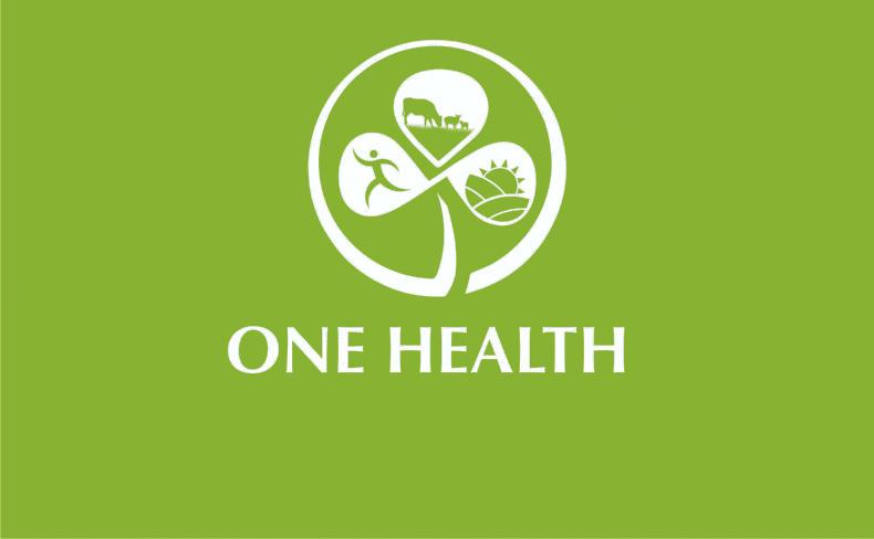 One Health and the environment 