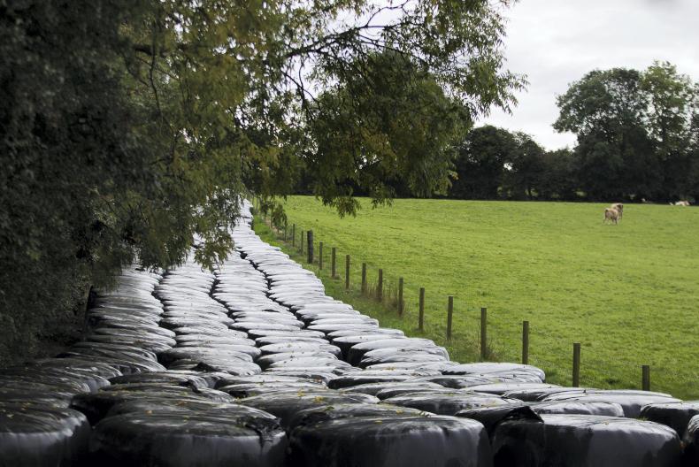 New standards coming for livestock fencing Premium