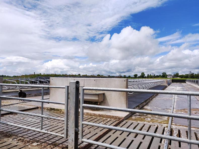 Are topless cubicles an acceptable form of cow housing?