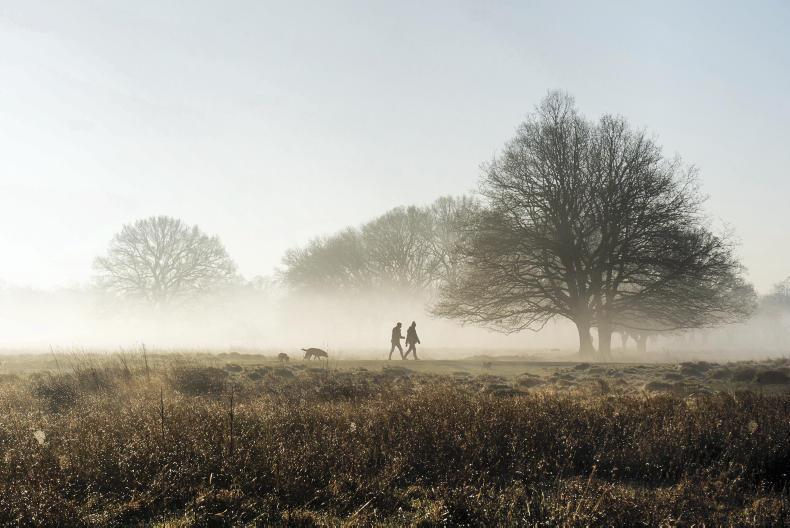 A Stephen’s Day stroll        