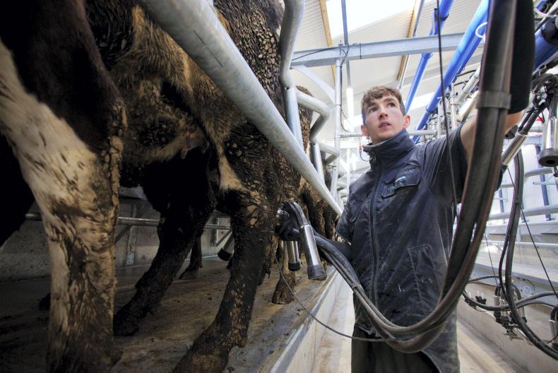 Farmer Writes: finishing up the first year in dairying   