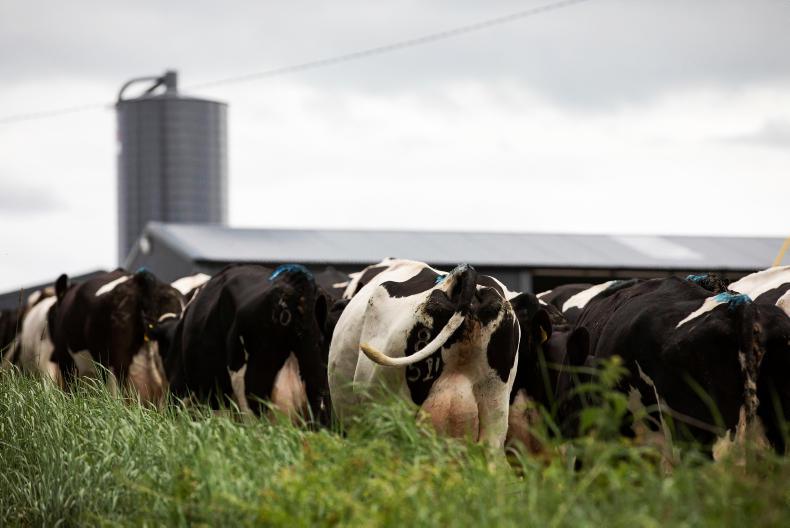 Glanbia bonus and levy changes: what can milk suppliers expect?