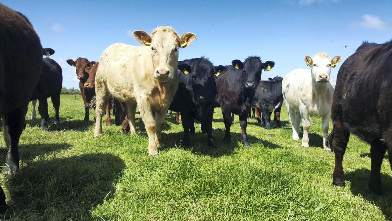 Farmer Writes: farmers must tell their story in 2020