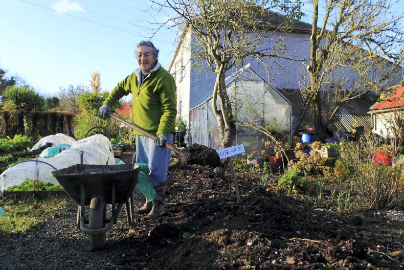 Lily's Garden: the soil that feeds us