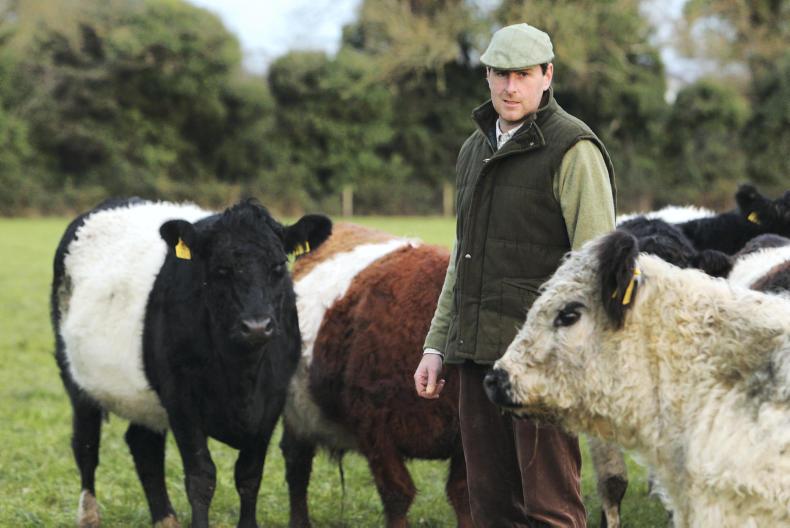 Farmer Writes: balance needed from high office to grass roots