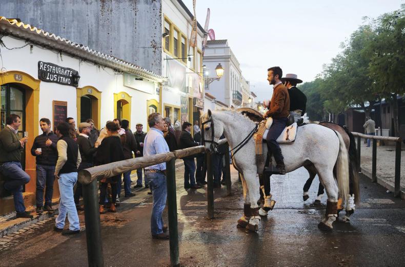 The Portuguese countryside, a holiday with a difference 