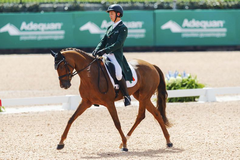 Support Irish eventers on their road to Tokyo