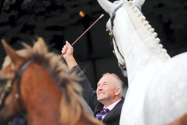 Murphy's Dublin dream