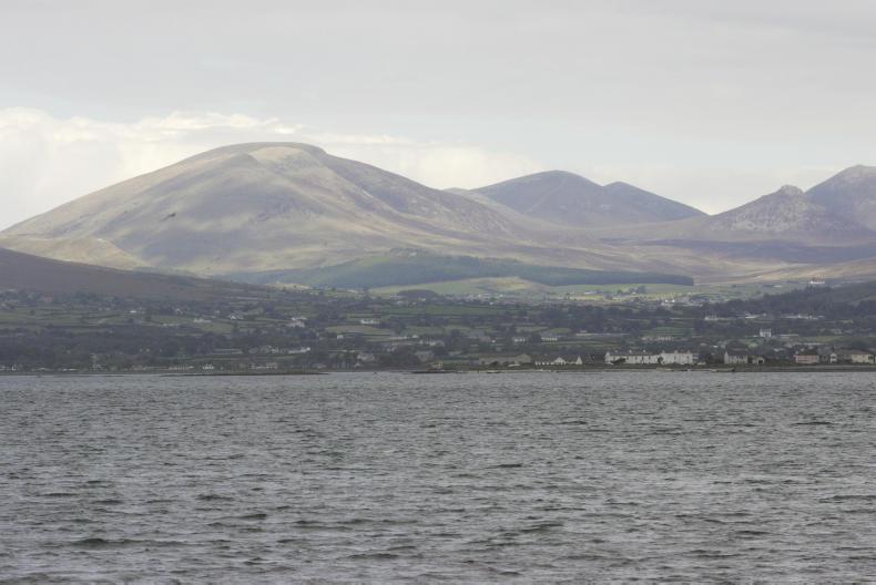 Living Life: this week's Going Out Guide