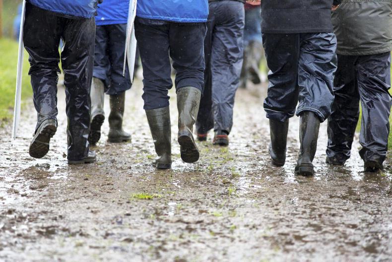 Leitrim Macra farm walk to focus on live exports