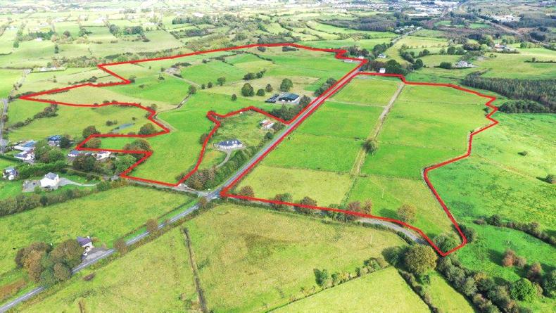 Watch: 85ac Mayo farm to go under the hammer