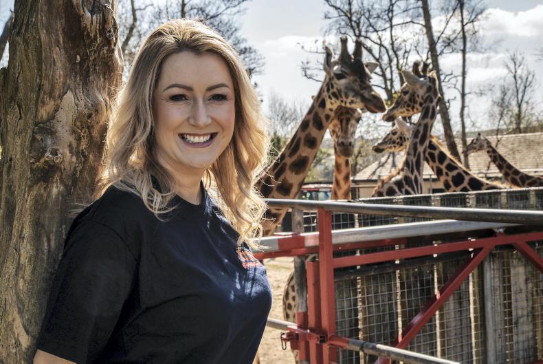 Fota Wildlife Park: behind the scenes