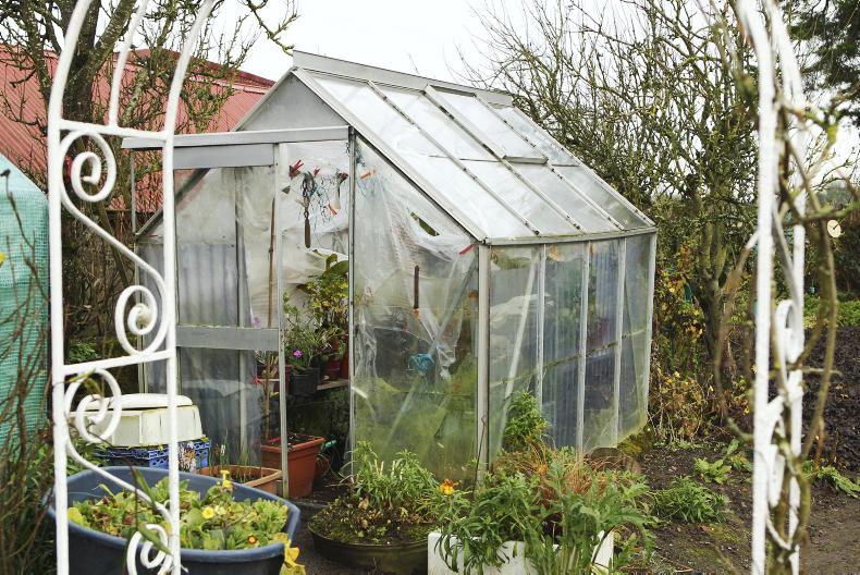 Weeding and dividing not to be avoided in February - the work will bare fruit 
