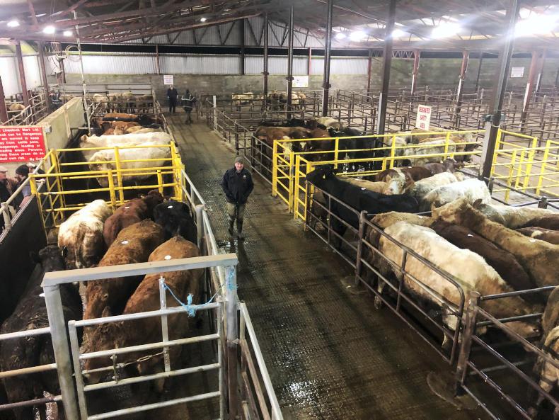 Watch: 'we need the suckler cow kept in the west'