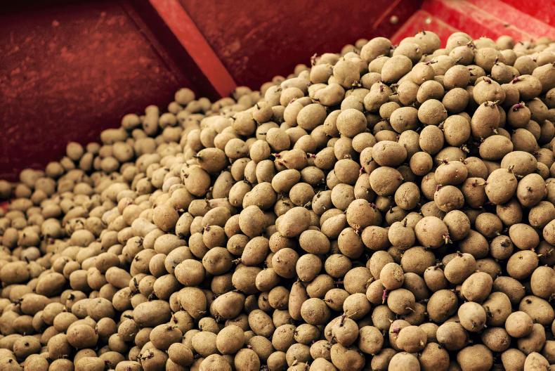 Retailers must 'wake up and act' to save potato industry