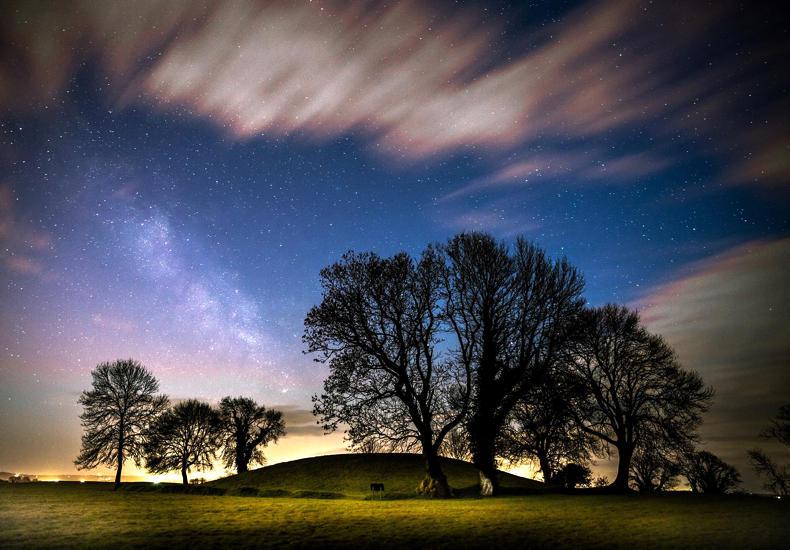 Living Life: this week's Top 5