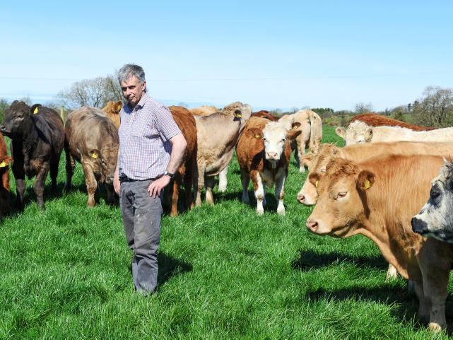 ‘If you can’t make money on a good one, you won’t make it on a bad one’