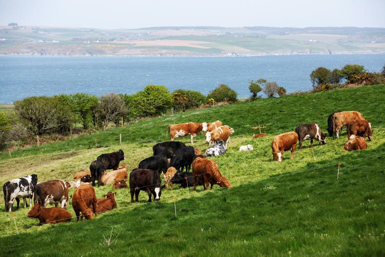 Way Out West: ‘The sucklers tie-in very well with part-time work’