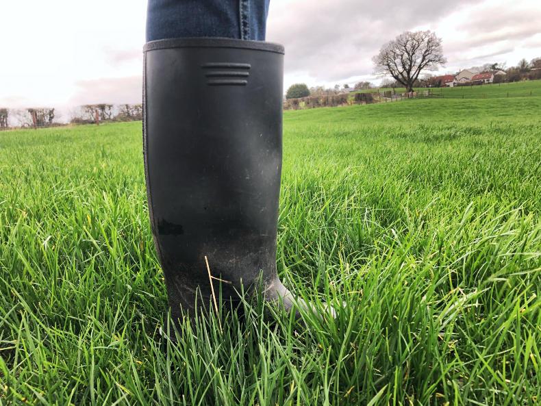 Grass+: growth rate climbing at varying speed