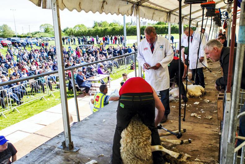 AllIreland sheep shearing postponed 14 April 2020 Free