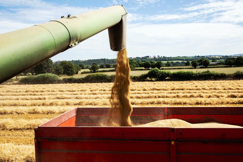 Boortmalt to cut malting barley contracts