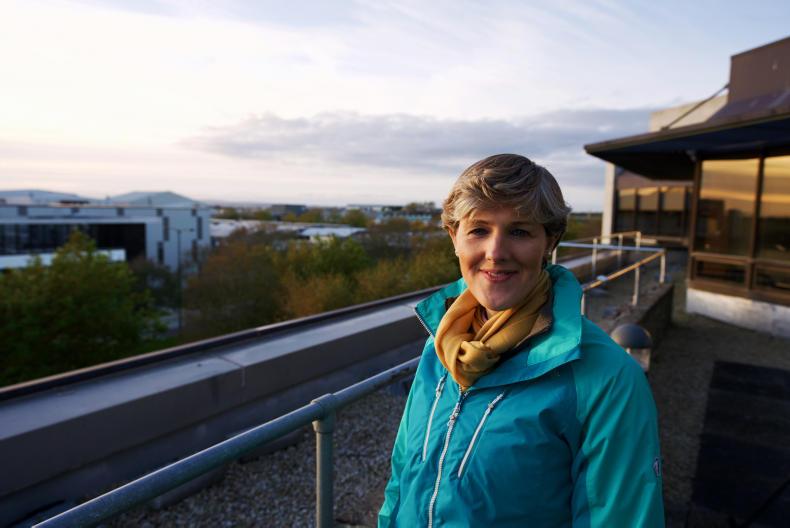 Living Life: The return of Building Ireland 