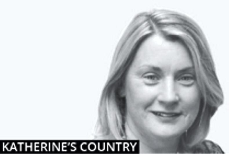 Katherine's Country: keeping each other entertained, but safe     