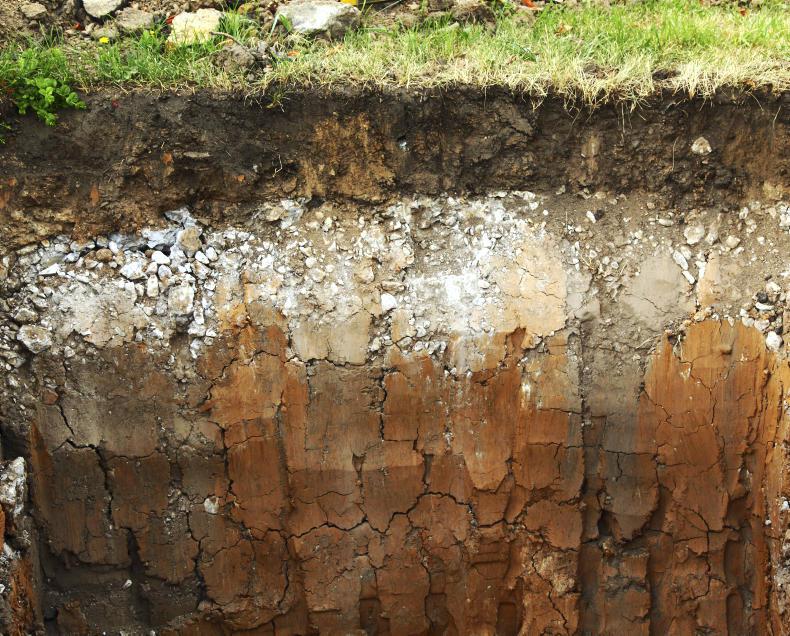 Biodiversity Week: in conversation with Robbie Byrne