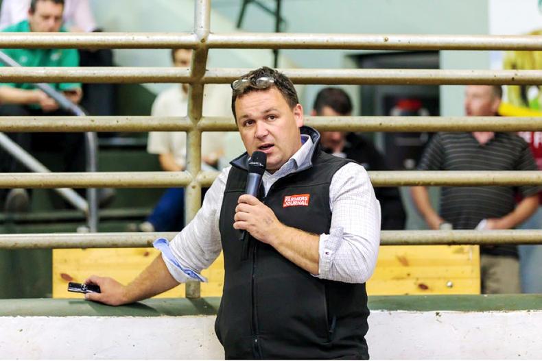 Beef editor-turned-Twitter influencer