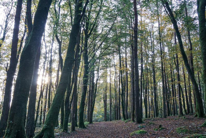 ‘Her presence is my present‘