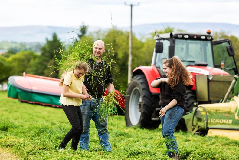 The Big Dealer: Walls and fences never looked as good