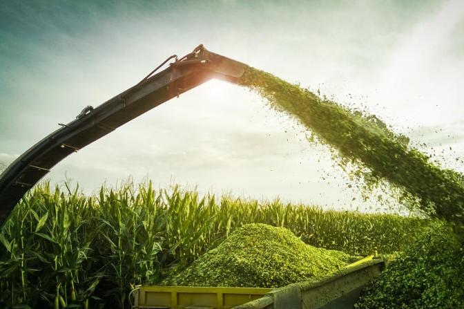 Feeding farmers in uncertain times                 