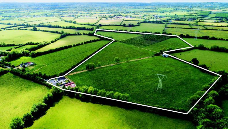 Take three in Kildare         