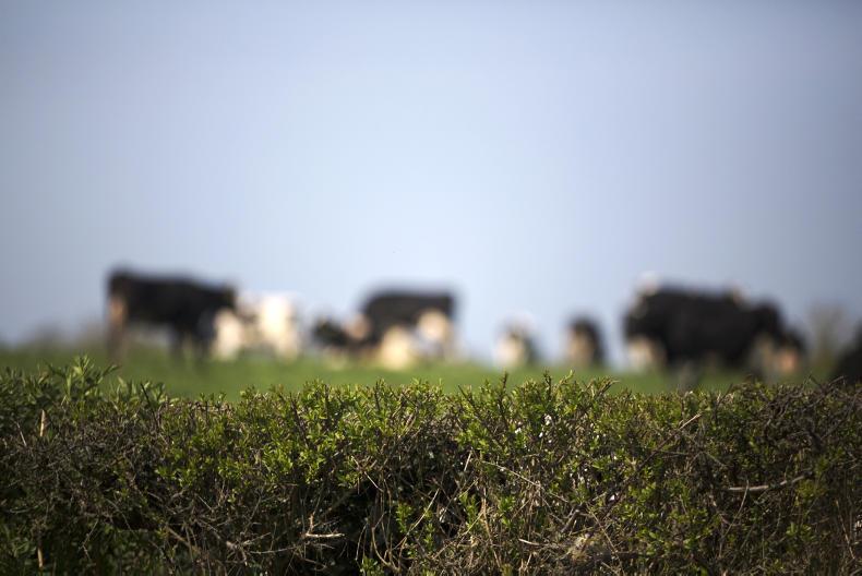 Department refused access to wildlife information on Heritage Bill