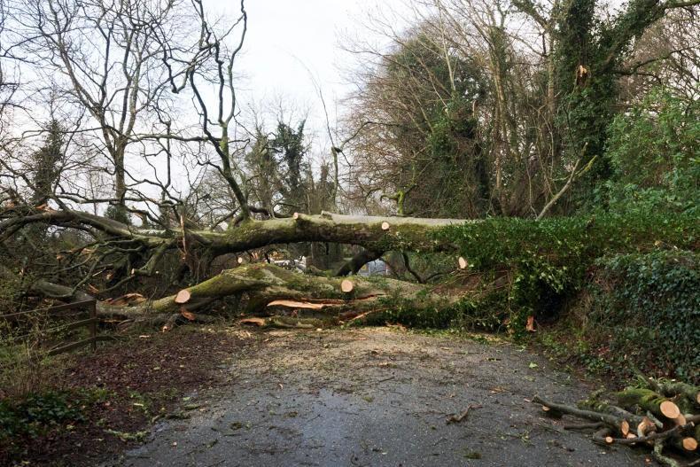 A changing climate could mean more storms in Ireland