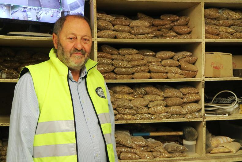 Ancient grains at Hastings Mill