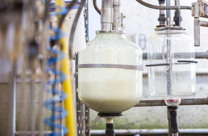 Dairy markets: Australian milk production firmly back in growth mode