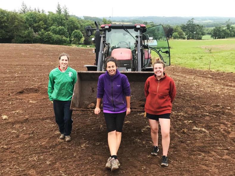 In pictures: our favourite readers' farming photos