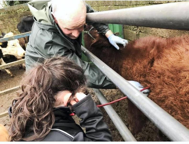 In pictures: our favourite readers' farming photos