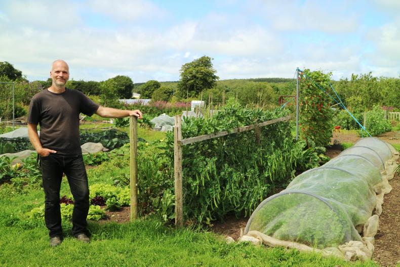 Adventures in small holding: vegetable growing